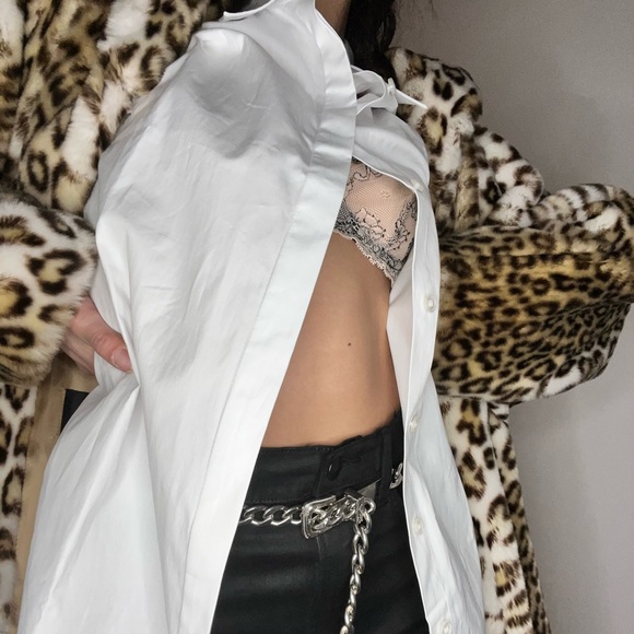 Meet your Posher, Harlee - Picture 3 of 8